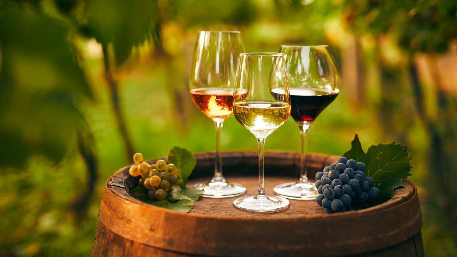 Four Reasons Why You Should Buy Wine Online Conscious Foodie